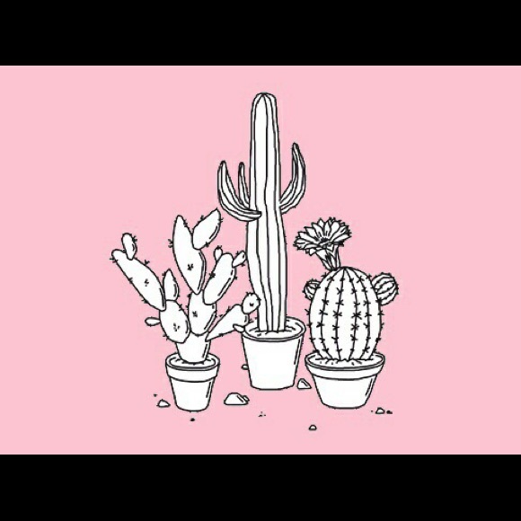 tulipsgrove